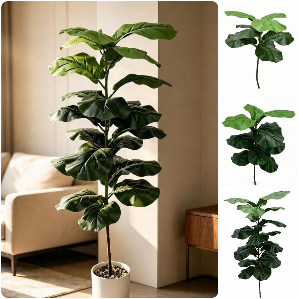 Ficus Lyrata Tree - 9/15/23 인조 피쿠스 리라타 대형 녹색