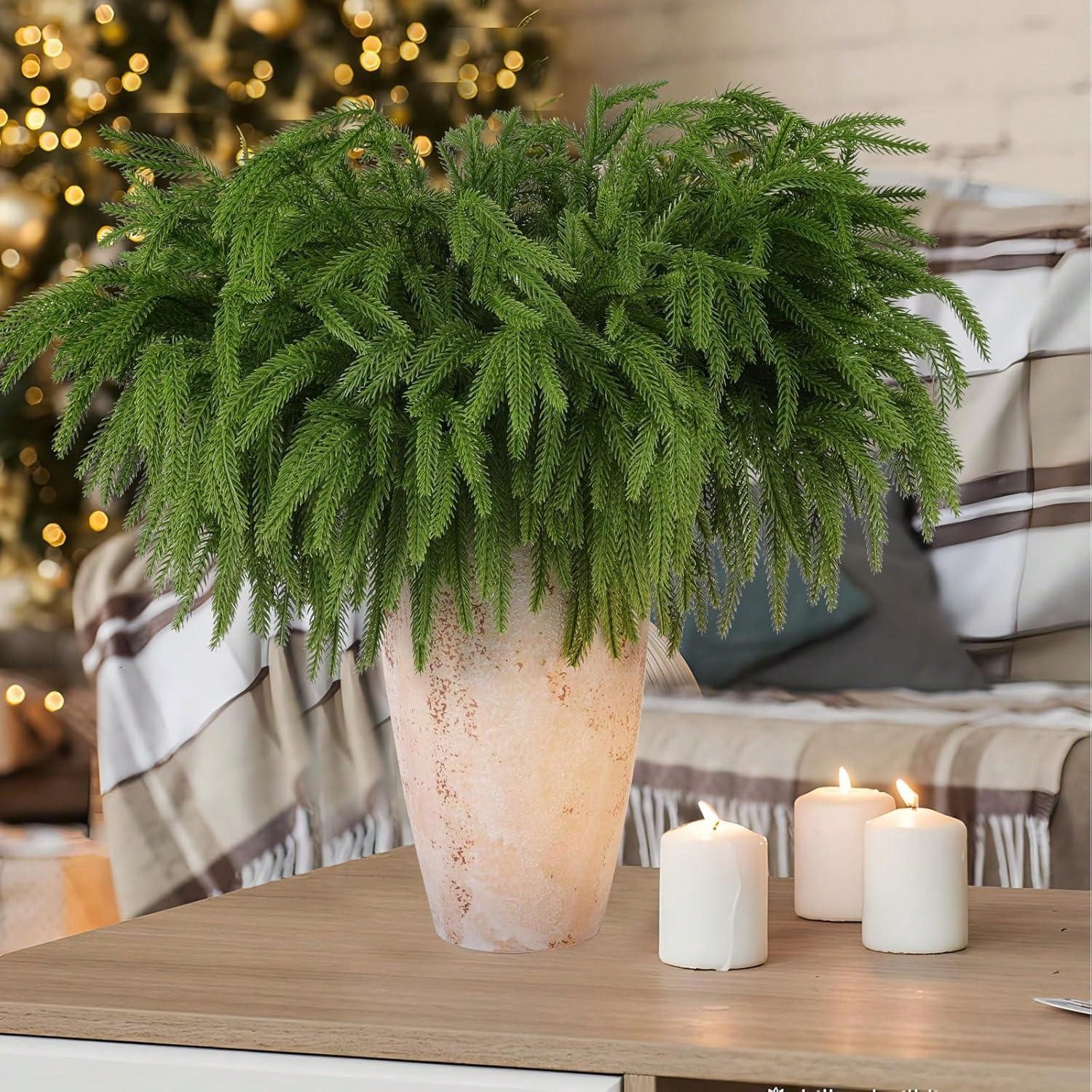 Dracaena Marginata - 크리스마스 노퍽 지점 현실적인 소나무 노퍽
