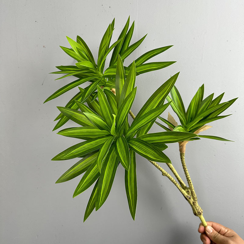 Dracaena Marginata - 시뮬레이션된 녹색 식물 3개의 백합 대나무
