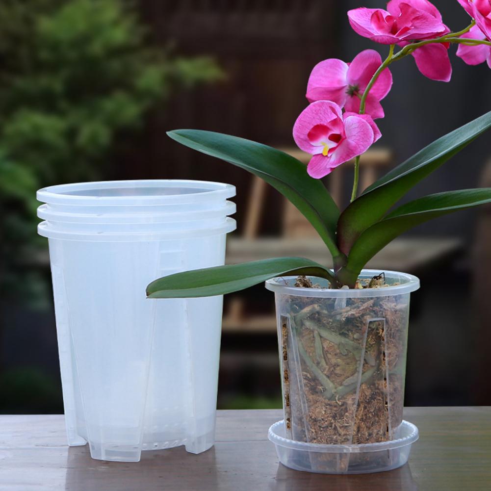Aloe Vera Pot - 투명 소재 아크릴 화분 배수구 재사용