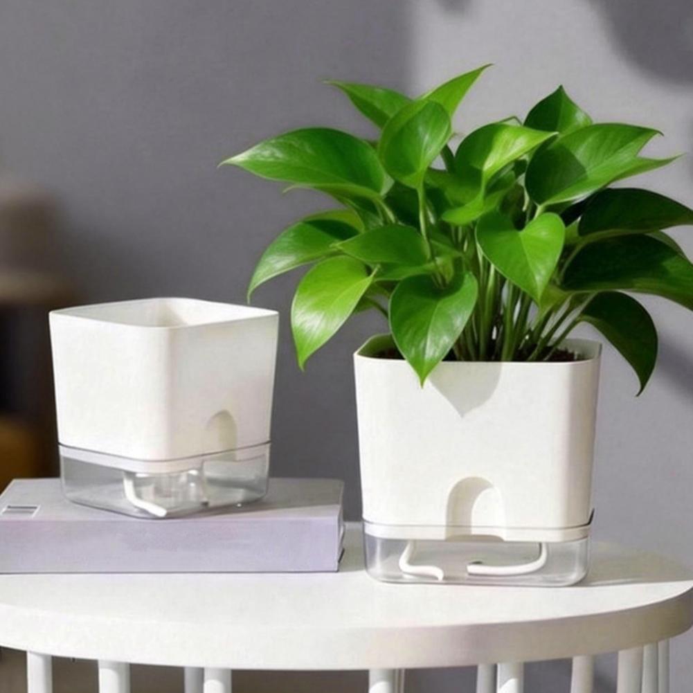 자동 급수 화분, 자동 급수 화분, 실내 식물 화분(배 - Aloe Vera Pot 리뷰 및 가격
