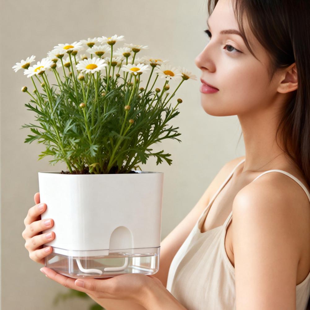 자동 급수 화분, 자동 급수 화분, 실내 식물 화분(배 - Aloe Vera Pot 리뷰 및 가격