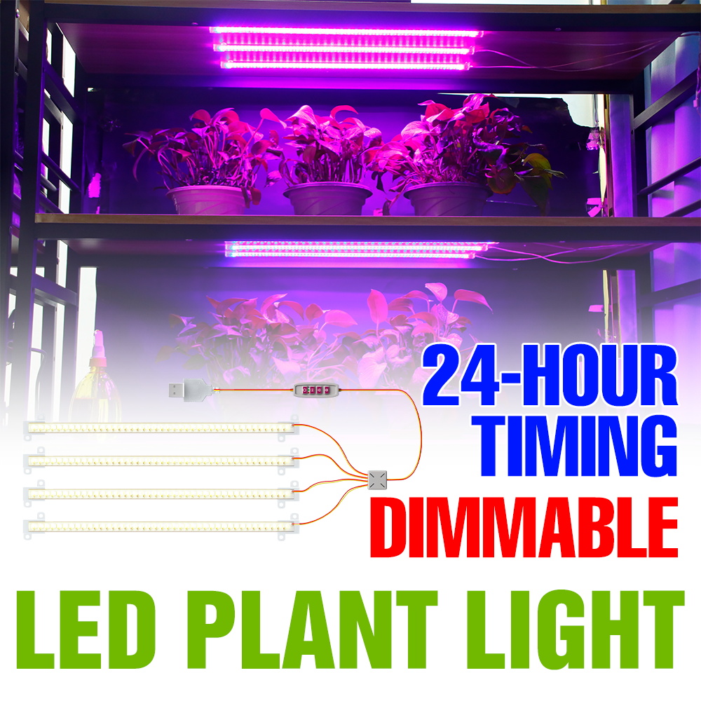 LED 실내 식물 조명 바 USB 풀 스펙트럼 씨앗 성 - Echeveria Succulent 리뷰 및 가격