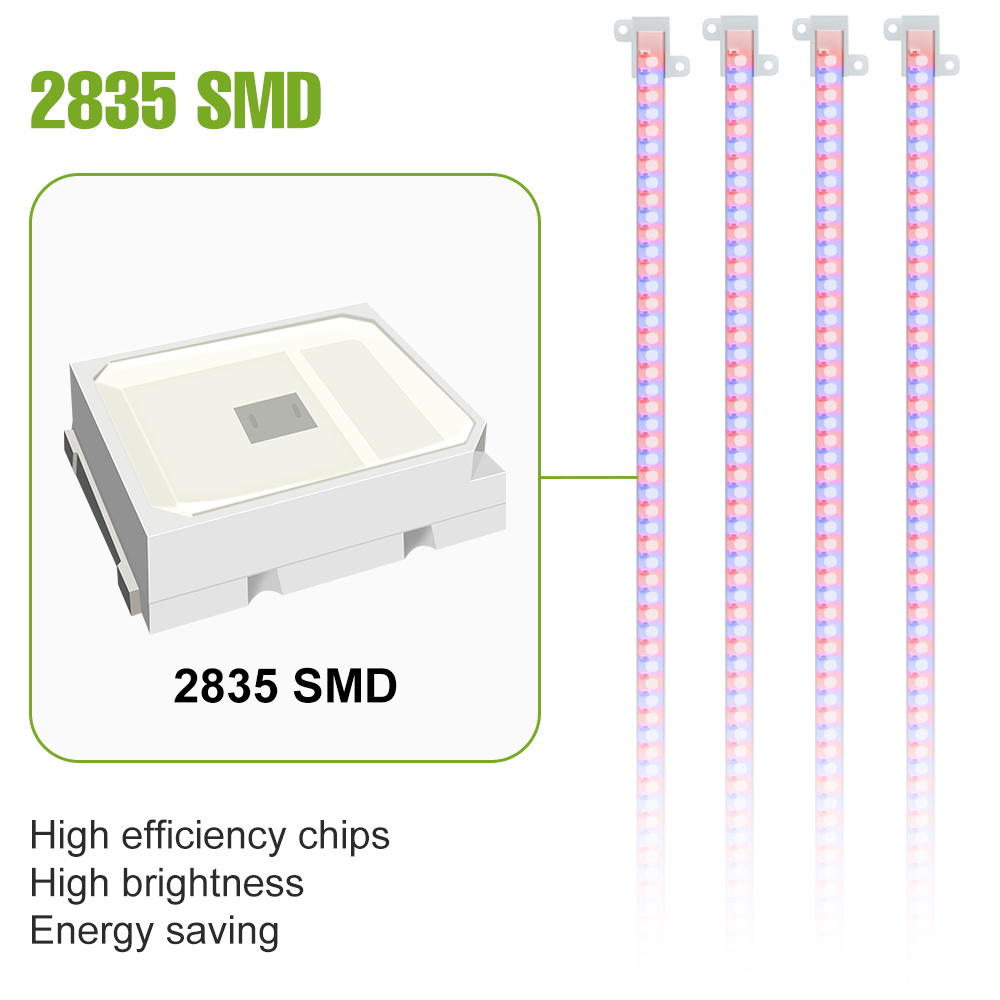 LED 실내 식물 조명 바 USB 풀 스펙트럼 씨앗 성 - Echeveria Succulent 리뷰 및 가격