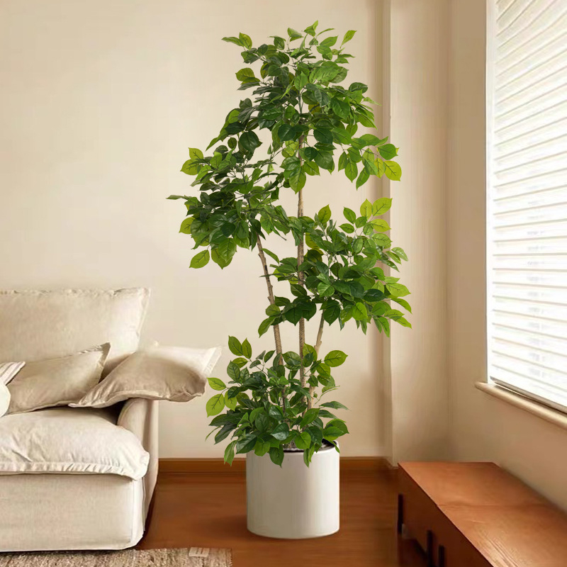 2-78in 대형 가짜 식물 인공 해피 트리 플라스틱  - Dracaena Marginata 리뷰 및 가격