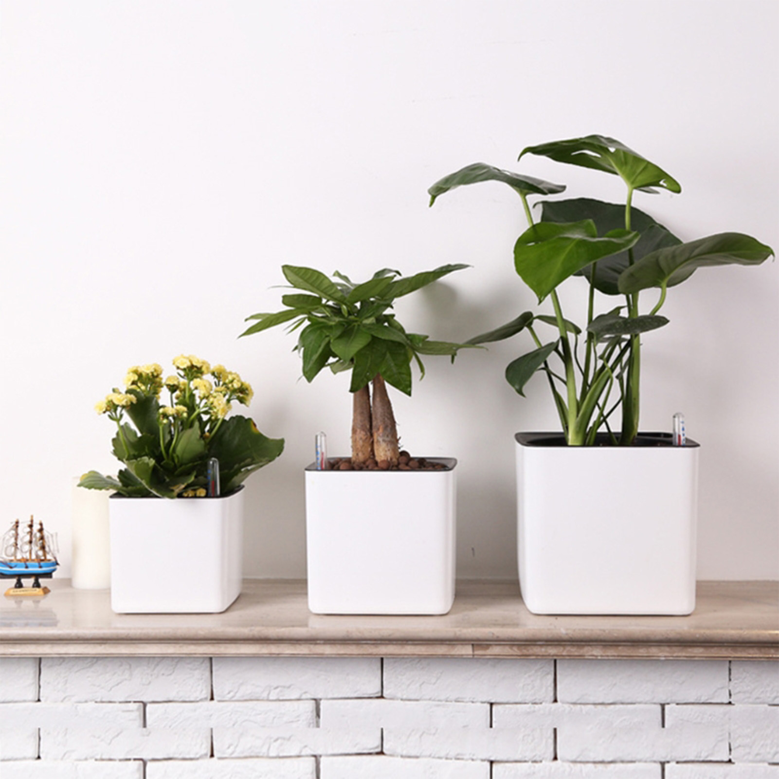 자동 급수 화분, 수위 표시기가 있는 흰색 자동 급수  - Aloe Vera Pot 리뷰 및 가격