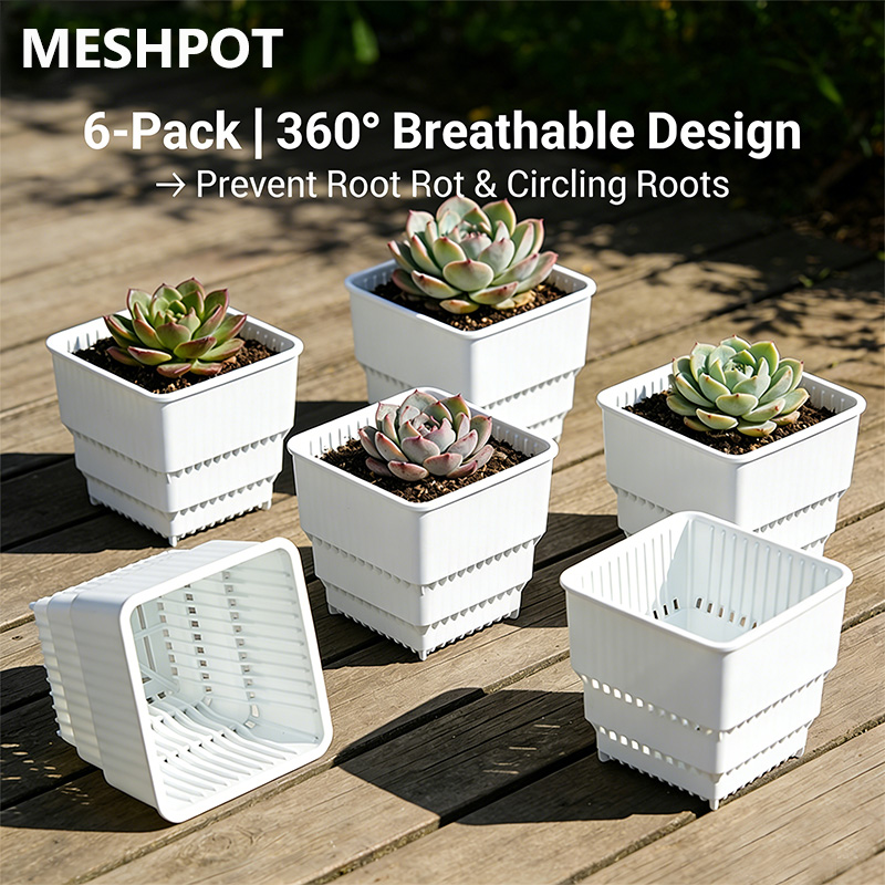 MESHPOT 다육식물 및 선인장용 사각 화분 6개 세 - Echeveria Succulent 리뷰 및 가격