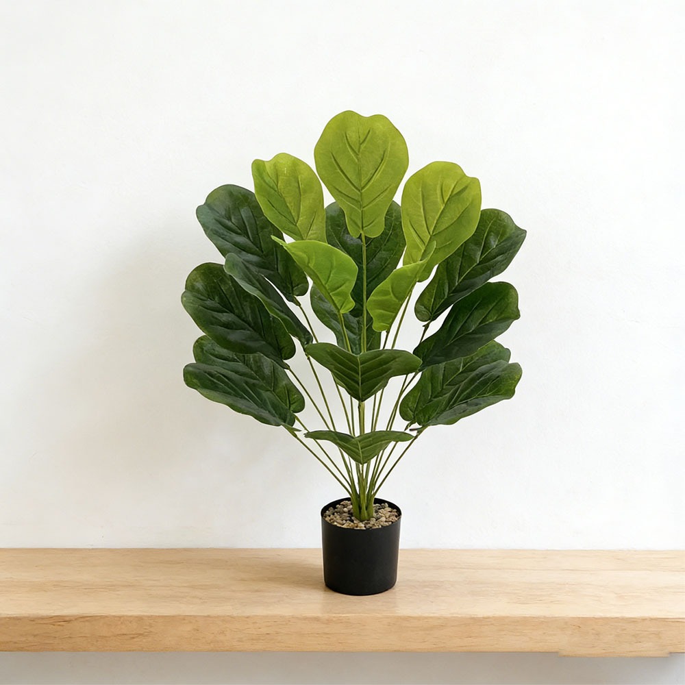 75cm 인조 라이라타 무화과나무 1개 (18잎) 사무 - Ficus Lyrata Tree 리뷰 및 가격