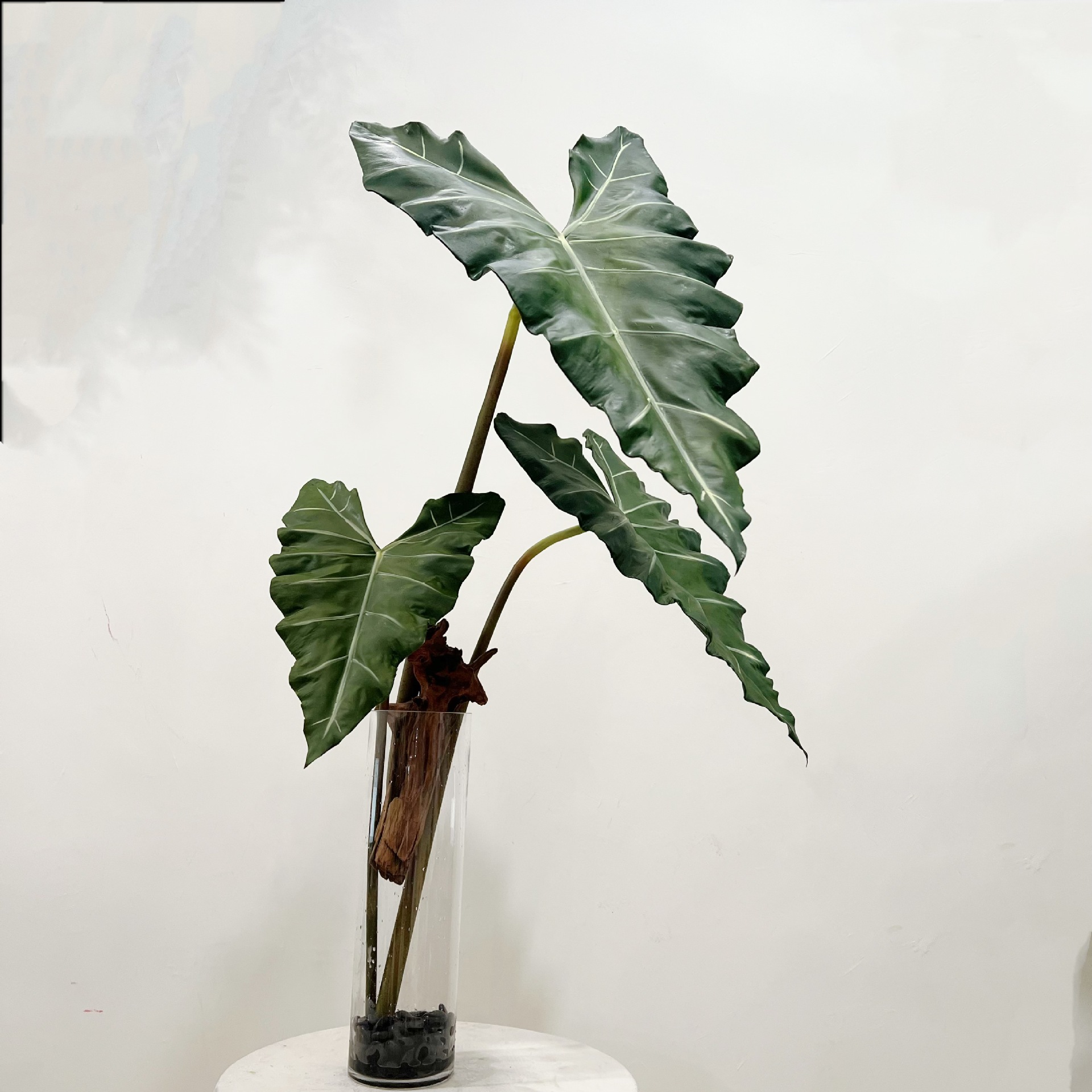 인조 긴 PU 손 느낌 녹색 식물 큰 잎 실내 홈 장식 - Dracaena Marginata 리뷰 및 가격