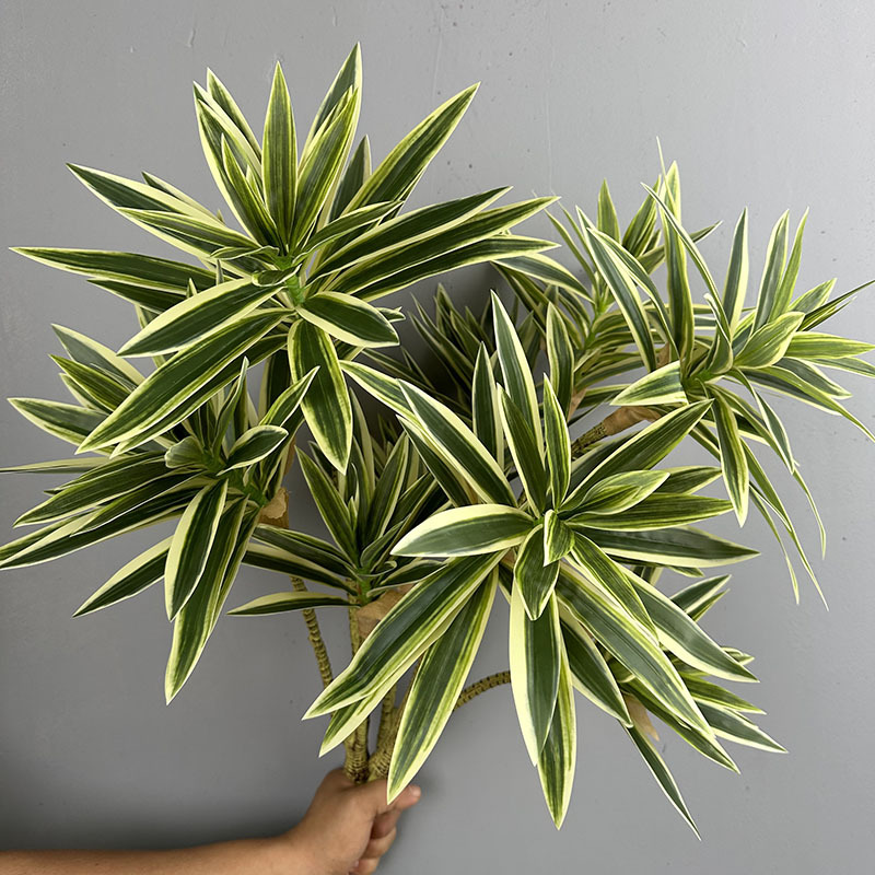 시뮬레이션된 녹색 식물 3개의 백합 대나무 드라세나 산 - Dracaena Marginata 리뷰 및 가격