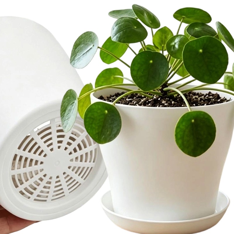 배수구와 어울리는 받침대가 있는 화분 세트, PP 레진 - Aloe Vera Pot 리뷰 및 가격
